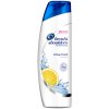 Head & Shoulders Citrus Fresh 2v1 šampón proti lupinám pre mastné vlasy 360 ml
