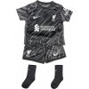 Nike Súprava LFC INF NK DF KIT STAD CRSET GK 2024/25 fn9238061
