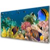 Nástenný panel Koralový útes príroda 100x50 cm