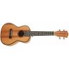 Cascha HH 2035 Concert Mahogany Ukulele Set