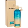 Montale Day Dreams 100 ml parfumovaná voda unisex