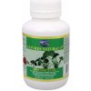 Australian Remedy Ginkgo 2500 mg 100 kapsúl