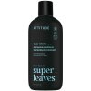 Attitude Pánský zklidňující šampon a kondicionér 2v1 Super Leaves Eukalyptus & Sage 415 ml