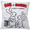 MÚ Vankúš Bob&Bobek biely 30x30