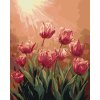 ZUTY Maľovanie podľa čísel - TULIPÁNY Rámovanie: vypnuté plátno na rám, Rozmer: 80x100 cm
