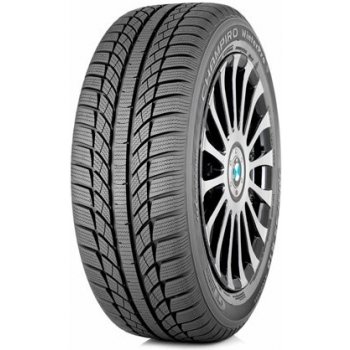 GT Radial Champiro WinterPro 205/55 R16 91H