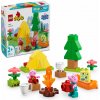 LEGO® DUPLO® Prasátko Peppa 10452 Kempovačka