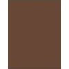 Inebrya Color Golden 6/3 Dark Blonde 100 ml