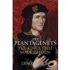 Plantagenets (Derek Wilson)(Brožovaná)