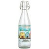 TORO Fľaša s patentným uzáverom 260 ml Dedinka