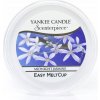 Yankee Candle vonný vosk Pólnočný jazmín 61 g
