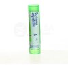 Echinacea Angustifolia gra.1 x 4 g 5CH 4 g homeopatických granúl v tube