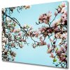 Sklenená doska na krájanie Kvety magnolia 60x52 cm