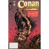 Conan the Adventurer: The Original Comics Years Omnibus Vol. 1
