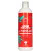Kallos Hair Pro-Tox Cannabis Shampoo 500 ml