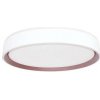 NEDES LED Stmievateľné stropné svietidlo s hlasovým ovládaním OPAL LED/48W/230V + DO ND4121 + záruka 3 roky zadarmo