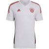 Adidas FC Bayern Training M HB0621 jersey (110086) L