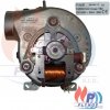 Ventilátor spalin 39W IMMERGAS EOLO MINI / EOLO STAR 23 kW - 1.024485 / 1.024485P / 1.021174 / 1.024233 / 1.027159