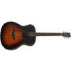 Tanglewood TC3E