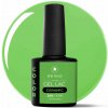 Gél lak Ceramic 249 Fern - gélový lak bez HEMA, 10 ml