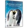 Putování tučňáků Volání oceánu DVD