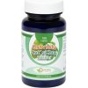 Natural Pharm Graviola + Cat´s Claw /Mačací pazúr/ + Reishi tablety 100 ks