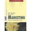 Marketing Studie z mezinárodní praxe - Koprlová Jana
