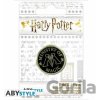 ABYstyle Odznak Harry Potter Ministry of Magic
