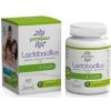 Protopán Probiotiká Lactobacillus + inulín 60 kapsúl