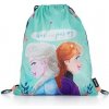 Karton P+P Frozen