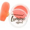 Allepaznokcie Efekt Lumino prášok na nechty svietiaci v tme 06