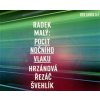 Pocit nočního vlaku (Radek Malý) - DVD