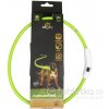 DUVO Obojok LED Svietiaci dog, zelené