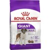 Granule pre psov Royal Canin Adult Giant 15 kg