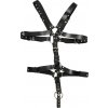 Postroj ZADO Harness