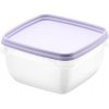 Orthex Freezer Box levanduľa 5 ks 0,5 l 12 × 12 × 6,5 cm