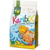 Bohlsener Mühle BIO Ovesné celozrnné ovocné sušenky KaribiX 125 g