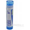 Croton Tiglium gra.1 x 4 g 9CH