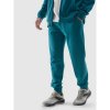 Pants 4F M 4FWSS24TTROM603 46S (191166) Black M