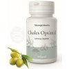 NástrojeZdravia CHOLES Optimal 60 kapsúl 60 kapsúl