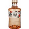 JUNE BY G´VINE WILD PEACH & SUMMER FRUIT 37,5% 0,7 l (čistá fľaša)