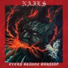 Nails - Every Bridge Burning [CD]