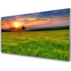 Skleneny obraz Lúka slnko príroda 100x50 cm