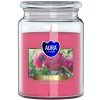 Bispol aura Peony 500g