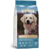 Divinus Adult Suché krmivo pre psov 20 kg