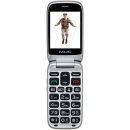 EVOLVEO EasyPhone FP