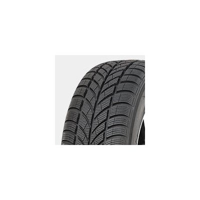 Maxxis WP-05 ARTIC TREKKER 215/40 R17 87V