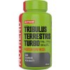 Nutrend Tribulus Terrestris 60 kapsúl