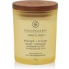 Chesapeake Bay Strength + Energy vonná sviečka 96 g