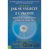 Jak se vyléčit z úzkosti, když vás nikdo jiný vyléčit nemůže - Amy B. Scher